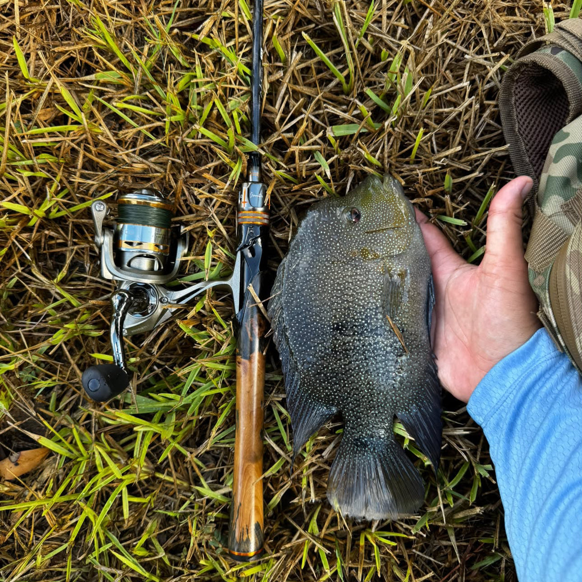 ATHENA 2-PIECE FINESSE SPINNING ROD (TWO TIPS INCLUDED)