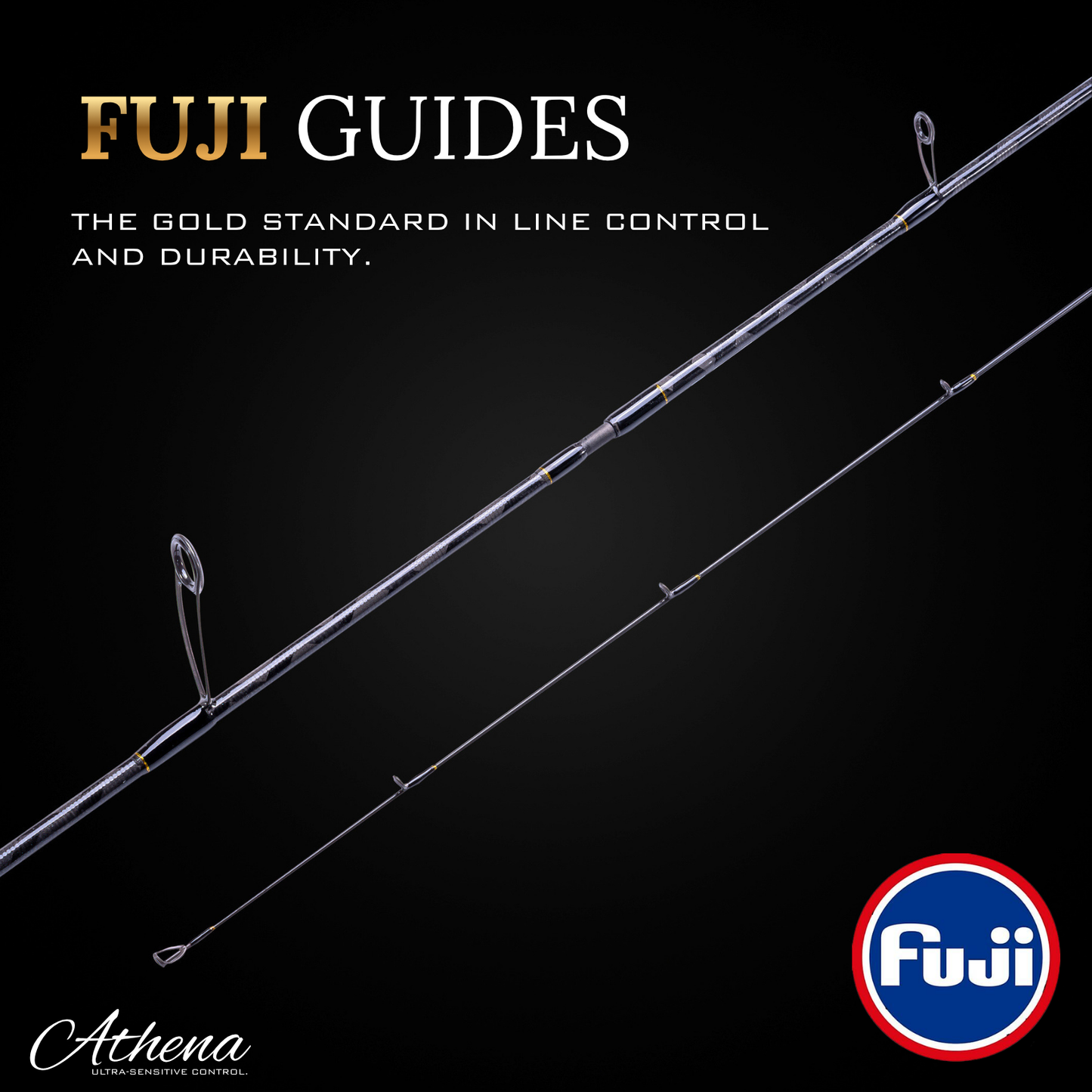 6‘ Fast Action (Light Tip + Medium-Light Tip) Athena 2-Piece Spinning Rod (Two Tips Included)